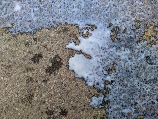 splashes of spilled milk on the asphalt photo in the daytime