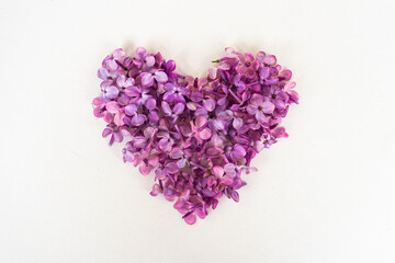 Flowers of a lilac in the form of a heart isolated on a white