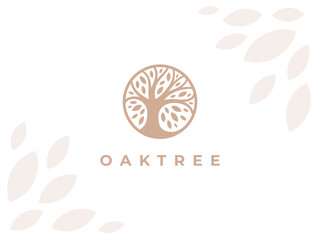 Circle Oak tree logo icon sign. Abstract round garden plant natural symbol. Branch with leaves template. Vector illustration.
