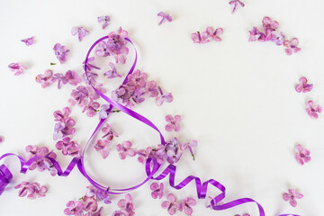 Creative greeting card background banner for March 8, with lilac flowers and ribbons on a white background, International Women's Day