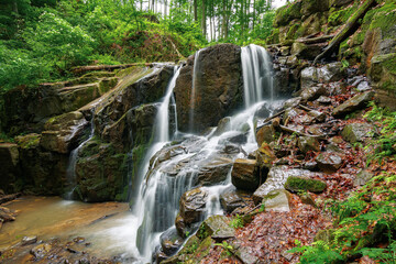 nature scenery with waterfall in spring. powerful water flow in the beech forest