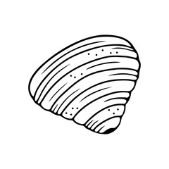 Hand drawn seashell isolated on a white background. Doodle, simple outline illustration. It can be used for decoration of textile, paper.