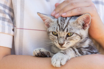 Woman hugging cat In the garden