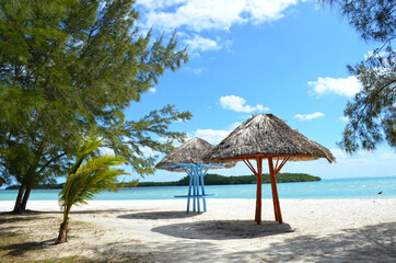 Cayo Blanco en el norte de Cuba, Palapas o sombrillas de paja en la playa, palmeras y mar turquesa