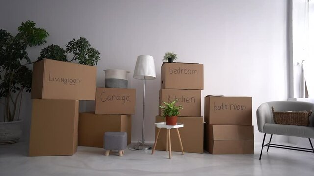 Cardboard boxes signed bathroom and kitchen. Green plant. Sorted cartons by category. House moving and relocation concept. Close up of packed signed boxes and other things prepared for relocation