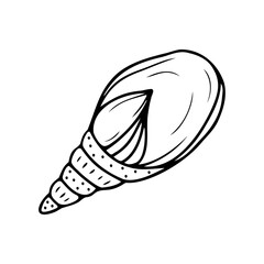 Hand drawn seashell isolated on a white background. Doodle, simple outline illustration. It can be used for decoration of textile, paper.