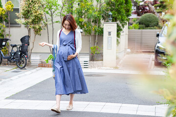 エコバッグを持った妊婦の主婦