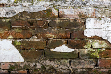 Old and ancient red brick walls rooted
