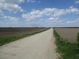 Straße In die Weite