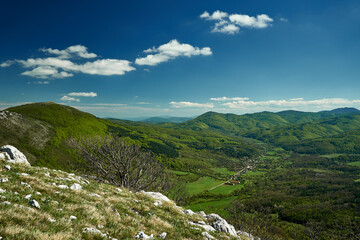 Fototapeta premium Kraishte mountains, Bulgaria, in spring