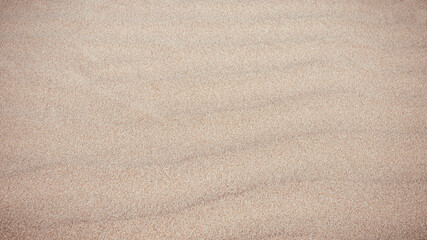 Fototapeta na wymiar sand background on the beach. summer vacation beach background. sand.