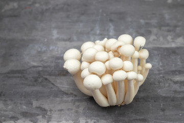 white edible mushrooms shimeji on ceramic background
