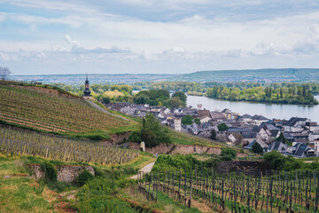 Fototapeta na wymiar A full view of the town of Rüdesheim, Germany, known as 