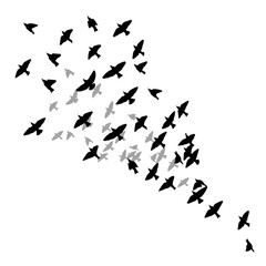A flock of flying birds. Vector illustration