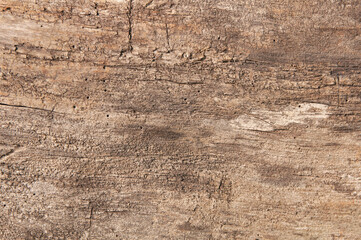 natural smooth wood background in warm brown