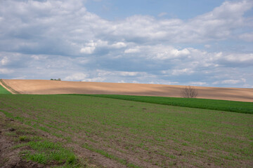Obraz premium Landscape of beautiful mountain nature, clouds and lovely background for screensaver