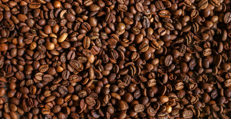 Horizontal banner with coffee beans. Top view. Copy space. Coffee beans background