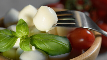 Close up of fresh apulian small mozzarella cheese ball is on a wooden bowl with mozzarella and fresh leaf of basil, close up and selective focus, food made in Puglia, Italy