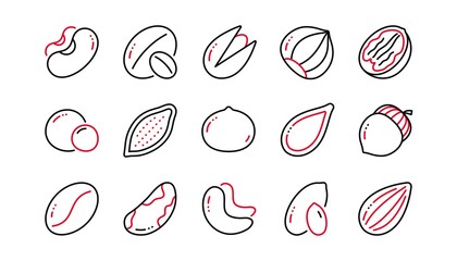 Nuts and seeds line icons. Hazelnut, Almond nut and Peanut. Walnut, Brazil nut, Pistachio icons. Cacao and Cashew nuts. Linear set. Linear set. Quality line set. Vector