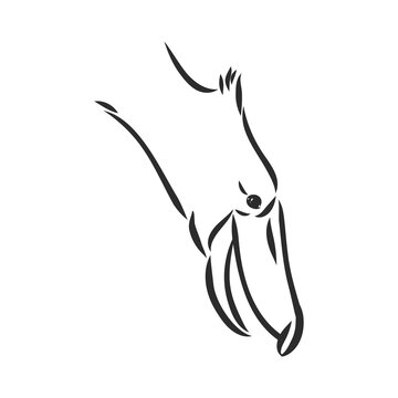 recommend clip art: Hand drawn sketch style shoebill. Vector illustration isolated on white background.