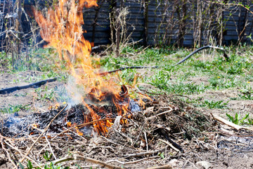 orange flame burning pile of branches and debris