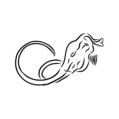 Dinosaur Skull. Drawing Of T-Rex Skull dinosaur skeleton vector