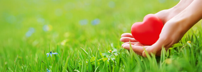 Woman hands holding red heart shape on the green grass background.