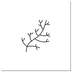 Dill glyph icon. Special species for dishes. Improve food taste. Dietary food. Vegetarian, healthy nutrition. Health benefits. Agriculture.Filled flat sign. Isolated silhouette vector illustration