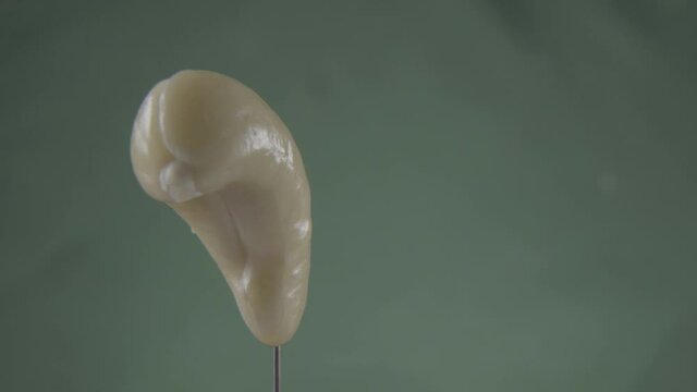 Cashew rotating with loop on green screen for chroma key