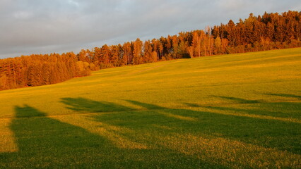 warmes Abendlich strahlt herrlich auf Berg mit Wiese und Wald  im Schwarzwald