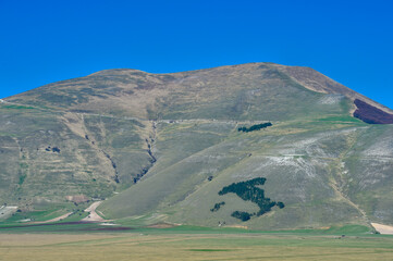 stylized Italy made with trees Castelluccio di Norcia plain Sibillini Mountains National Park in Umbria Region Italy