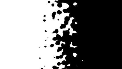 The transition from black to white with uneven border line, interpenetration of colors. Vector illustration
