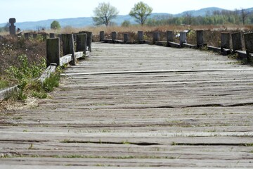 Fototapeta premium Wanderweg aus Holz