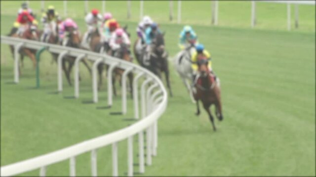 Unfocused shot of Horse race compete on a grass track.