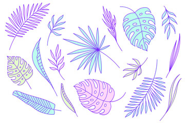 Fototapeta na wymiar Set of tropical plant leaves. Colorful line art illustration. Cute vector leaves outline. Isolated on white background.