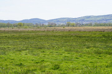 Fototapeta premium Moor Landschaft in Deutschland