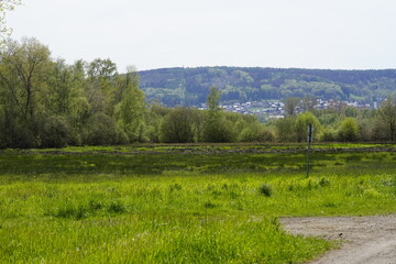 Moor Landschaft in Deutschland