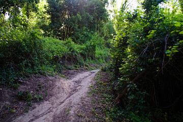 Sentiero del granchio nero nelle Marche