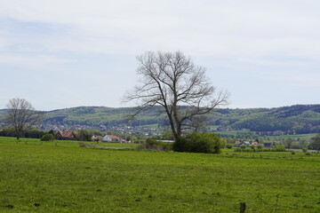 Fototapeta premium Moor Landschaft in Deutschland