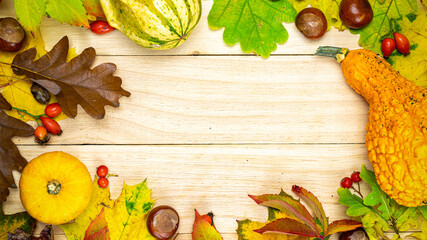 Autumn composition. Natural harvest with orange pumpkin, fall dried leaves, red berries and acorns, chestnuts on wooden background in shape frame. Autumn Thanksgiving day background.