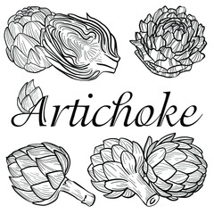 set of graphic vector image of artichoke flower on white background