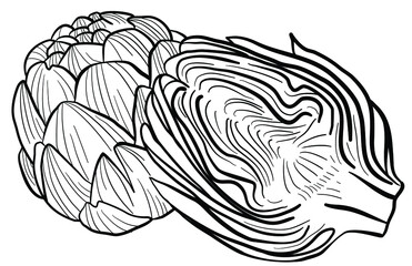 graphic vector image of artichoke flower on white background