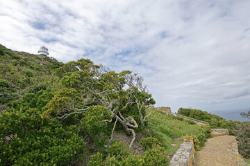 Südafrika - Kap der guten Hoffnung - Cape Point