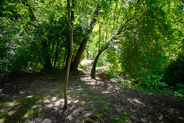 Sentiero del granchio nero nelle Marche