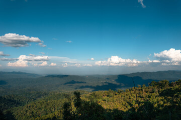Mountain and tree Landscape in summer