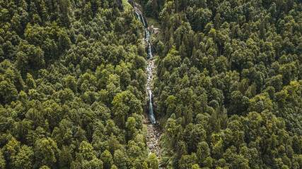 A forest and a waterfall from a Birdseye view