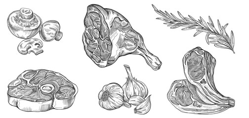 Steak sketch. Hand drawn beef, lamb and pork steak and mushrooms, garlic, spices. Butchery food meat product sketch engraved set isolated on white. Organic food decorations for the menu of cafes. - 434523821