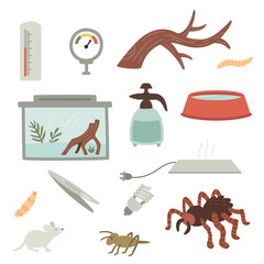 vector set of a tarantula care items
