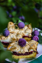 Pieces of tasty homemade pie with plums and meringue in the summer garden. Green leaves of plum tree background.