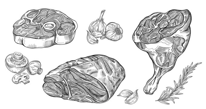 Steak sketch. Hand drawn beef, lamb and pork steak and mushrooms, garlic, spices. Butchery food meat product sketch engraved set isolated on white. Organic food decorations for the menu of cafes.